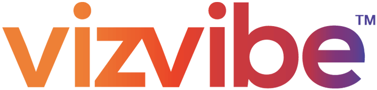 VizVibe LLC logo