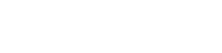 VizVibe LLC logo
